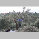 390 Alles was oben war, liegt jetzt unten....JPG 390 Alles was oben war, liegt jetzt unten....JPG